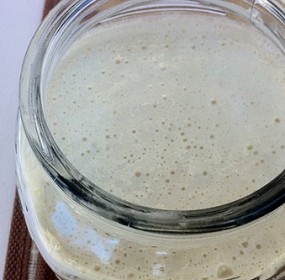 sourdough starter sourdough starter