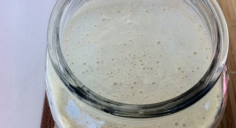 sourdough starter