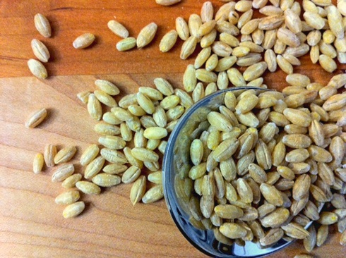 pearled barley 