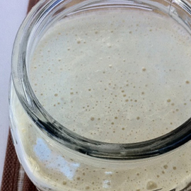 sourdough starter