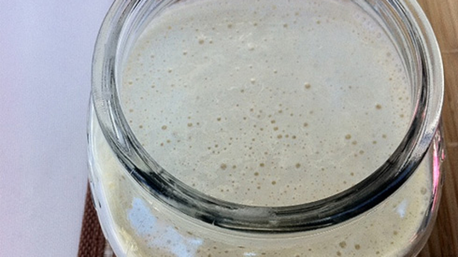 sourdough starter